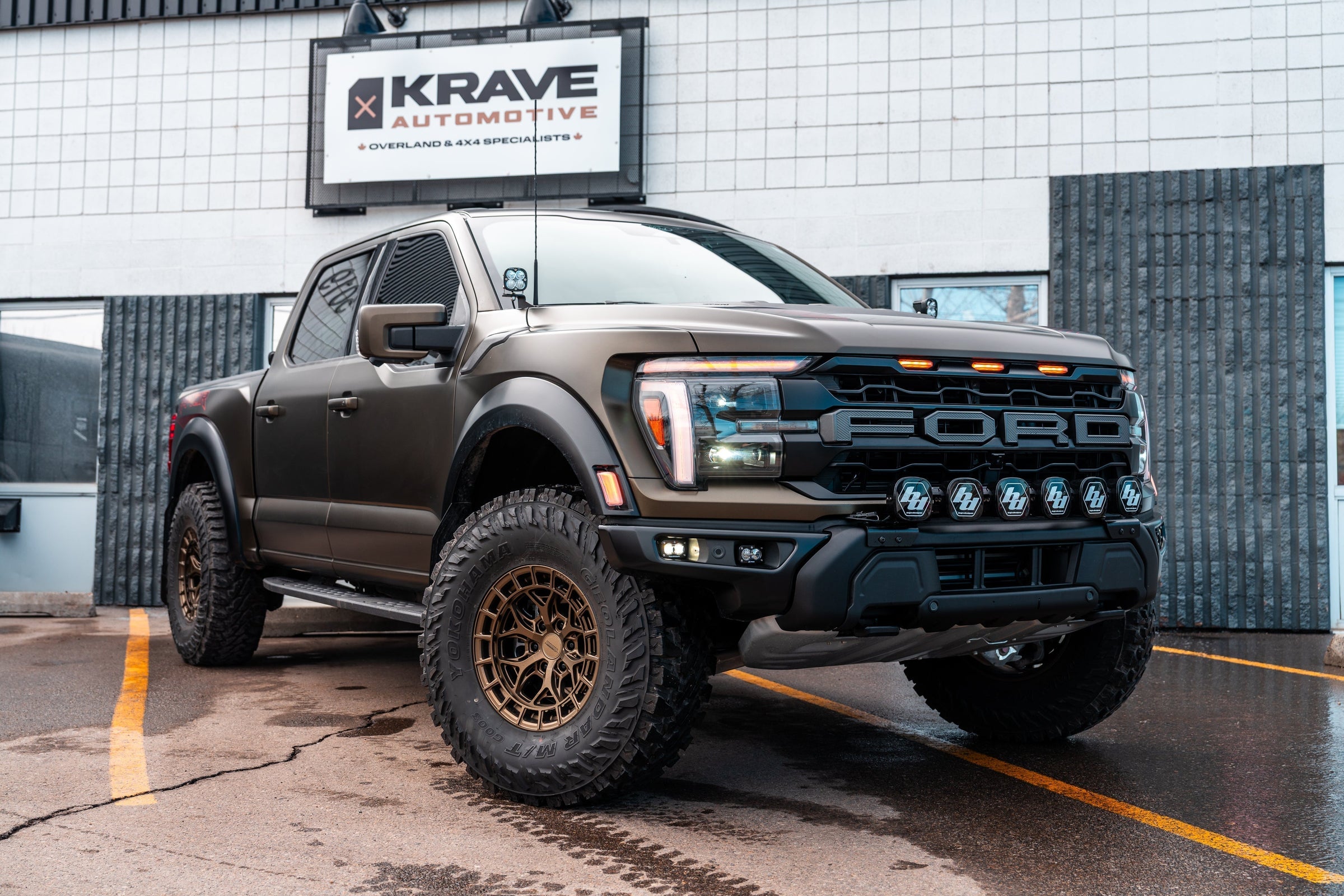 Bronze Beast