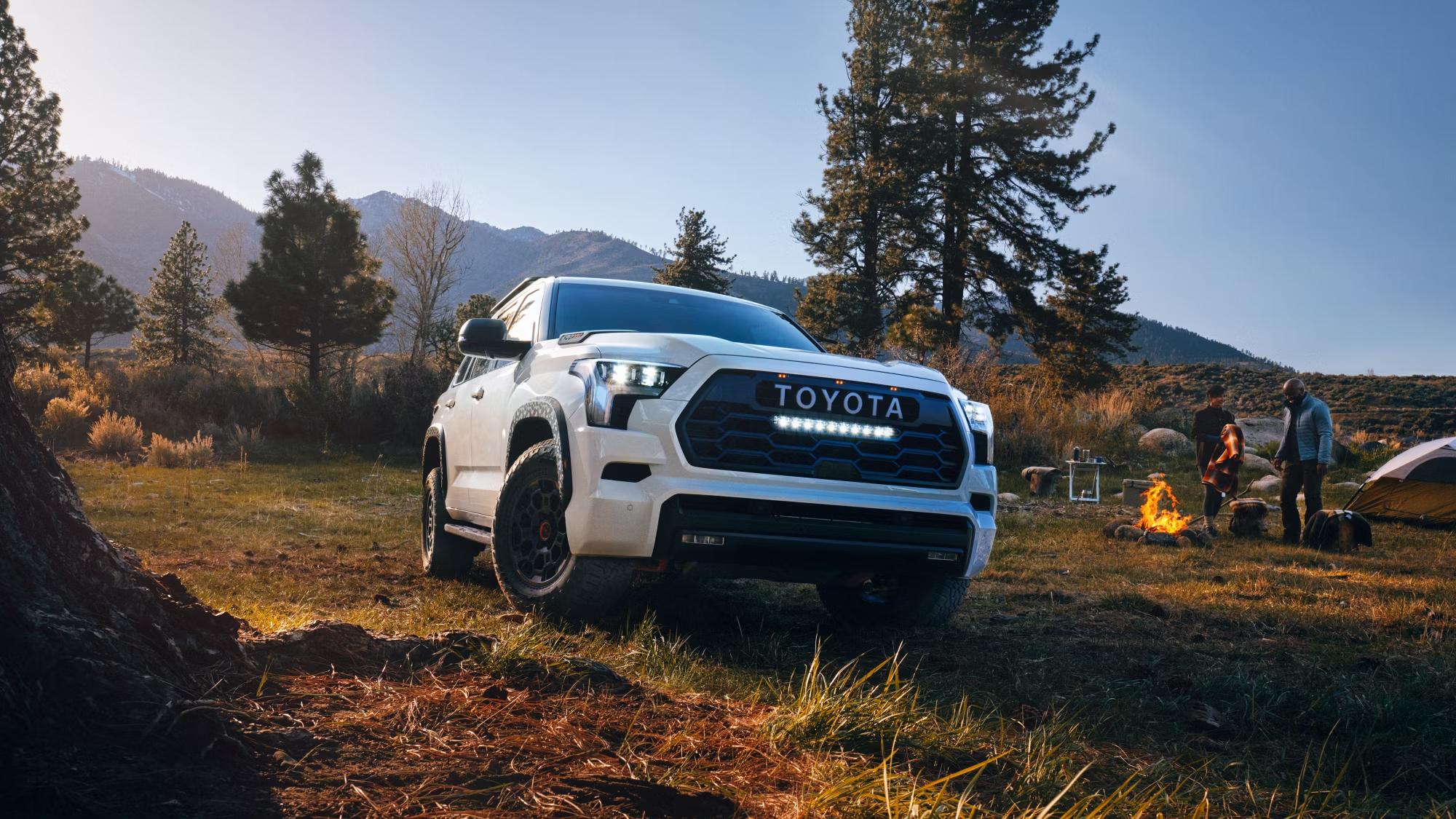 3rd Generation Sequoia