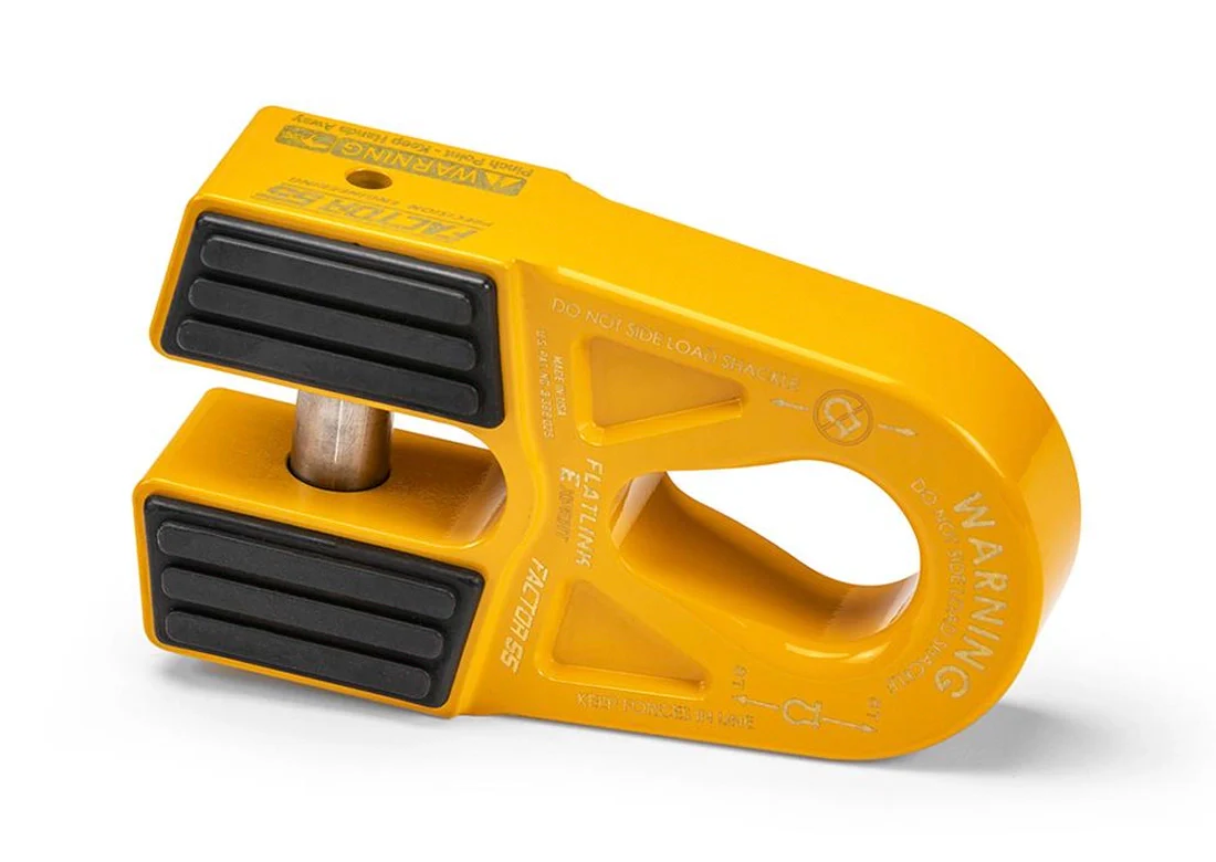 Factor 55 Flatlink Expert