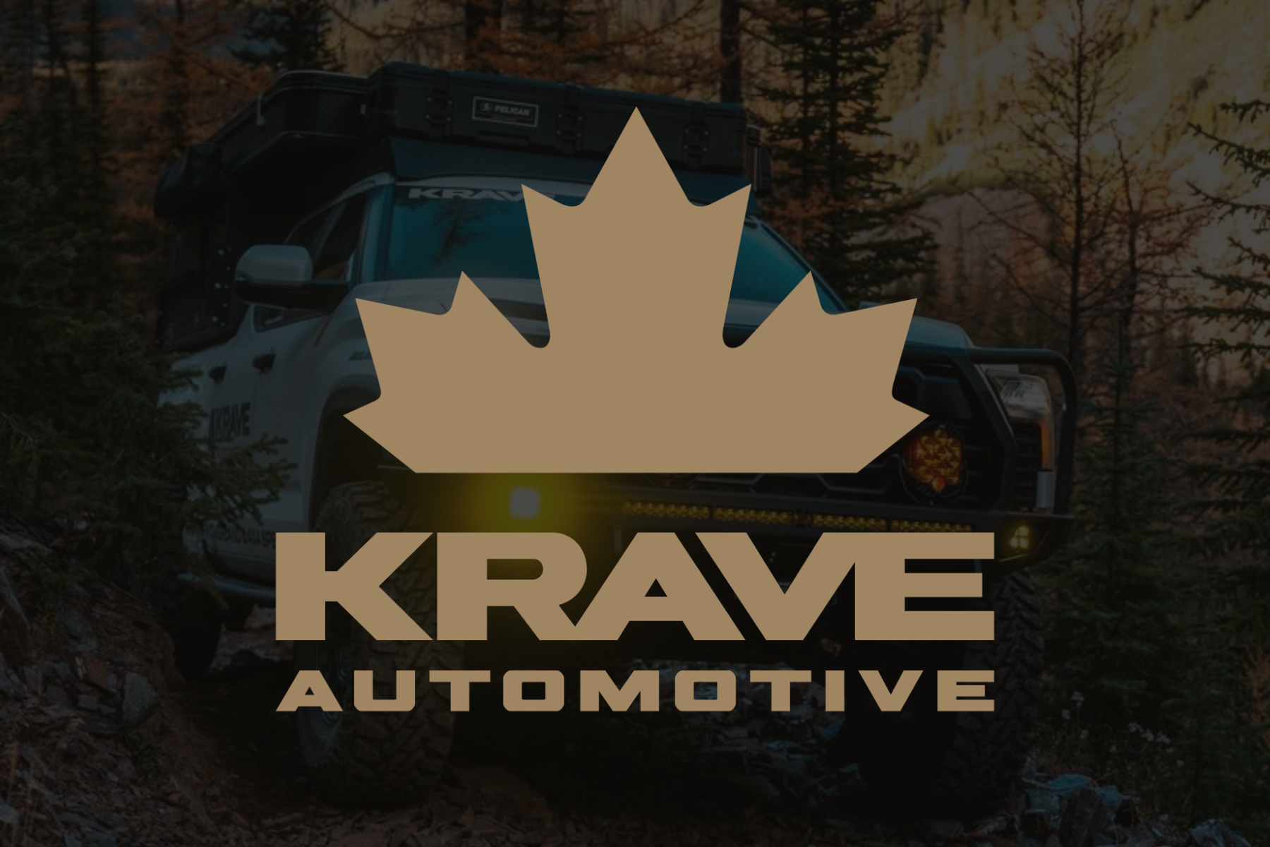 KRAVE Strut Assembly